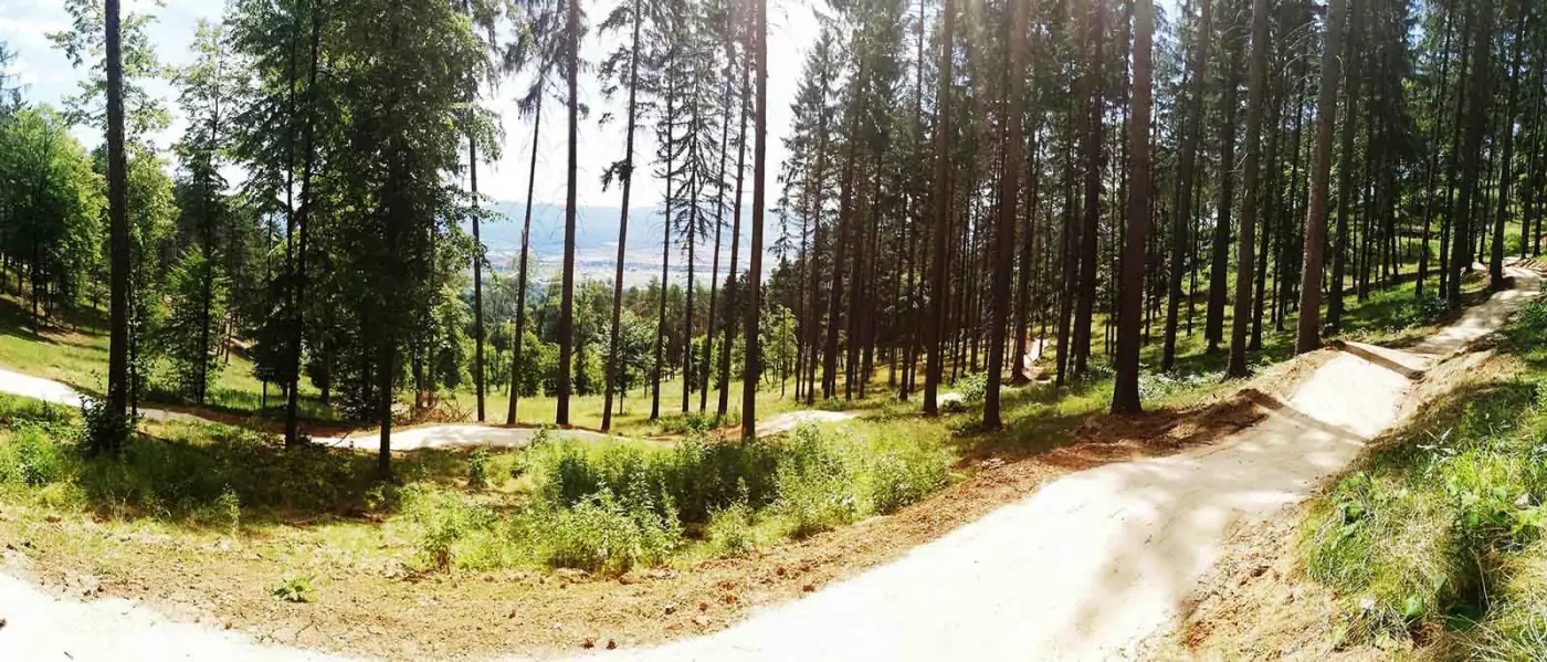 Lesný flowtrail